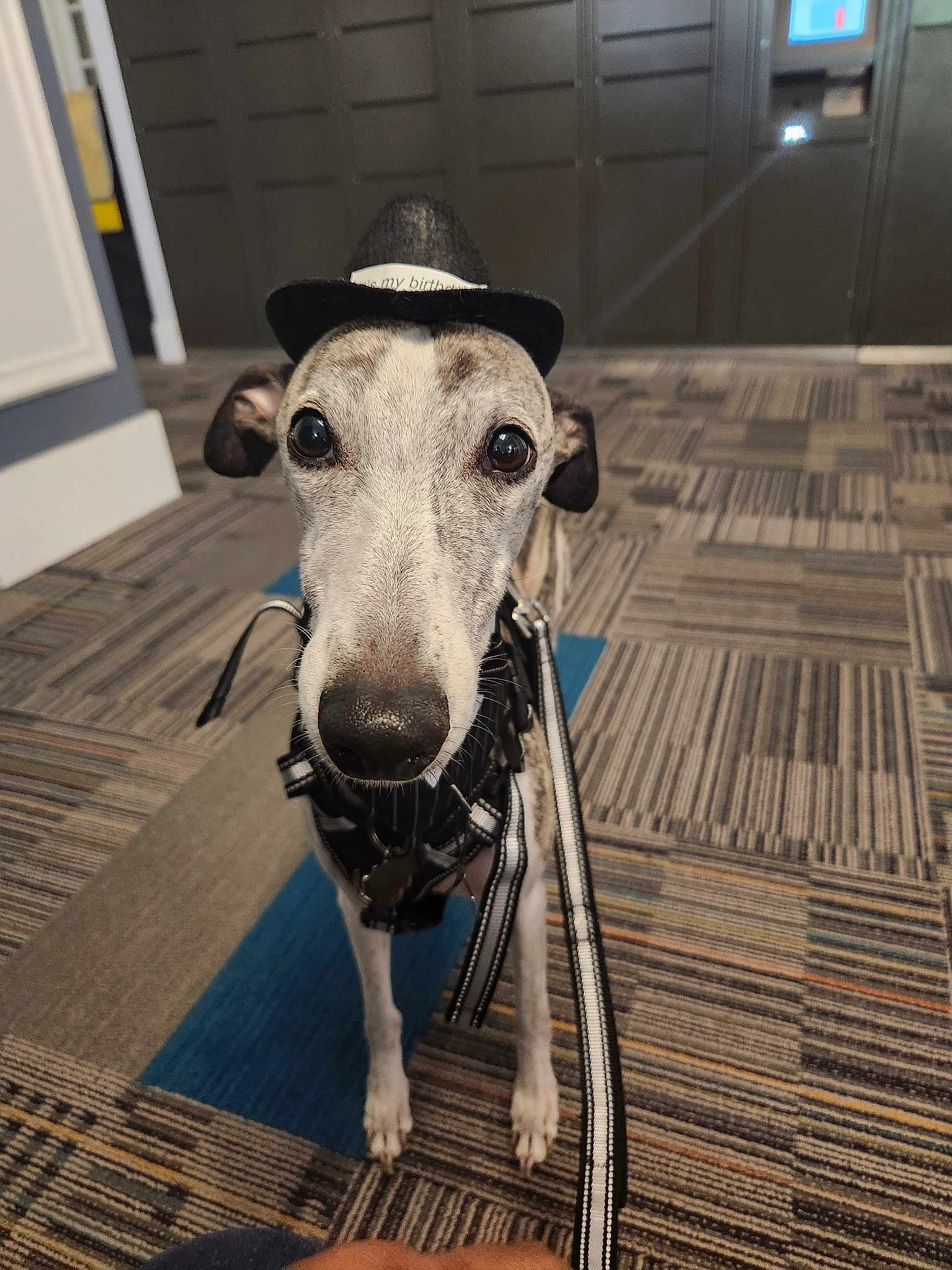 Dakota Anthony Lanfair