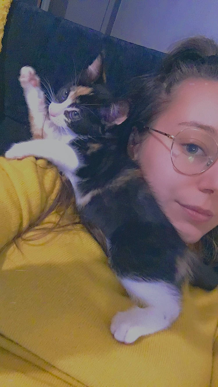 Raïna a rejoint le concours — aidez-le/la à gagner de superbes lots ! black_hair, carnivore, cat, domestic_short_haired_cat, ear, eye, felidae, fur, iris, kitten, neck, nose, skin, small_to_medium_sized_cats, snout, whiskers