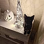 black_cat, cabinet, cat, cozy, decoration, furniture, halloween, indoor, jack_o_lantern, night, pet, pumpkin, shadow, silhouette, sitting, string_lights, tabletop, tv, warm_light, wire_tree