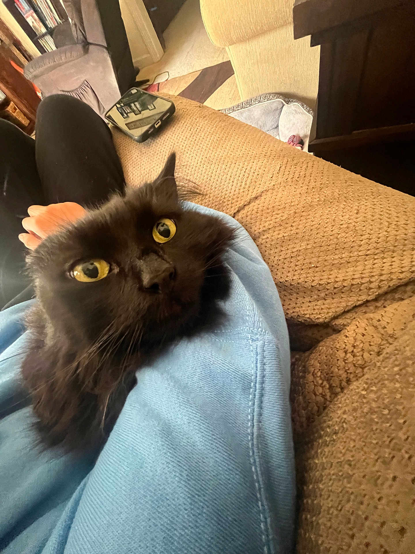 Cuddles