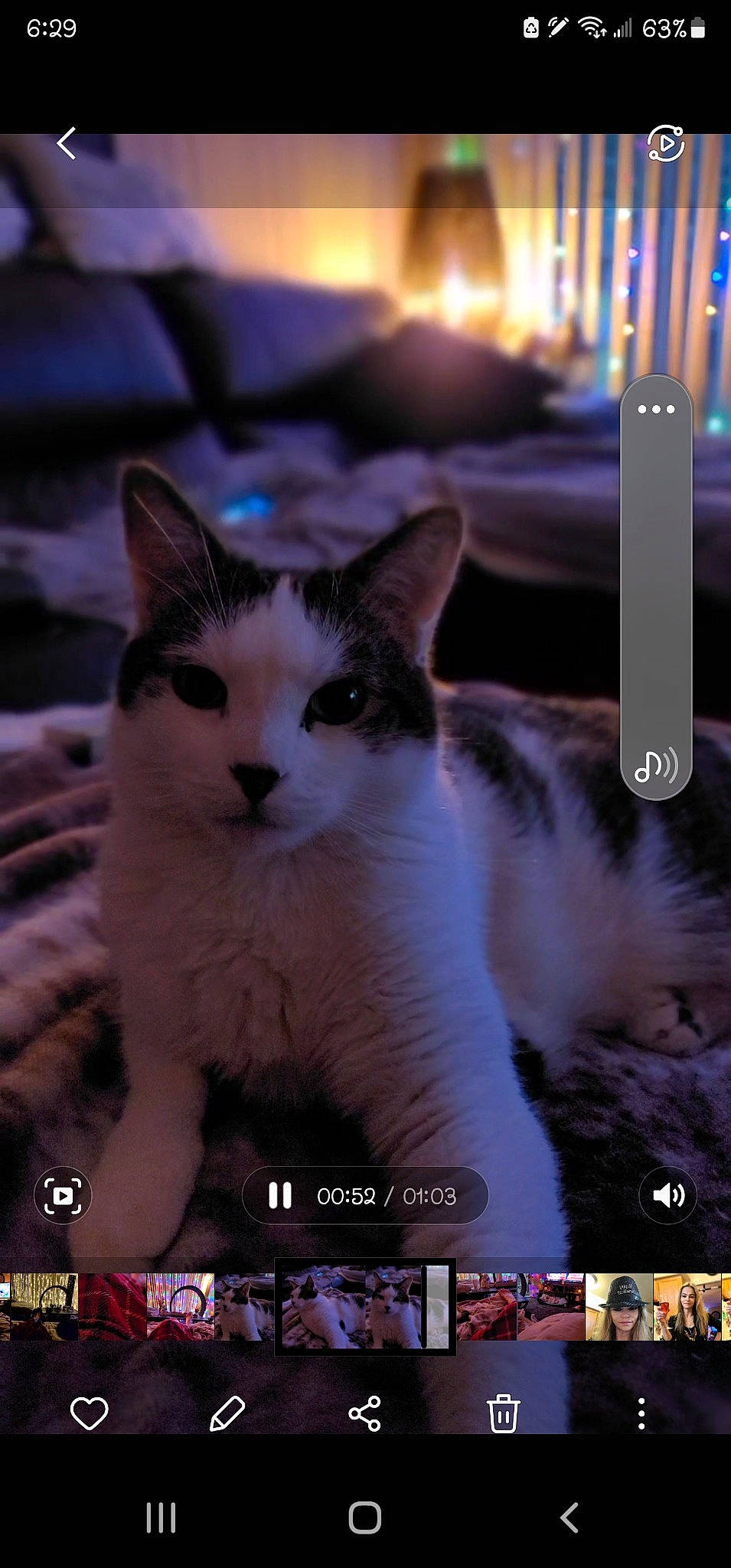 Kobi is registered to the contest to win money with this photo: candle_holder, carnivore, cat, darkness, domestic_short_haired_cat, event, felidae, font, fur, graphics, light, night, photo_caption, photography, screenshot, small_to_medium_sized_cats, snapshot, snout, whiskers, window