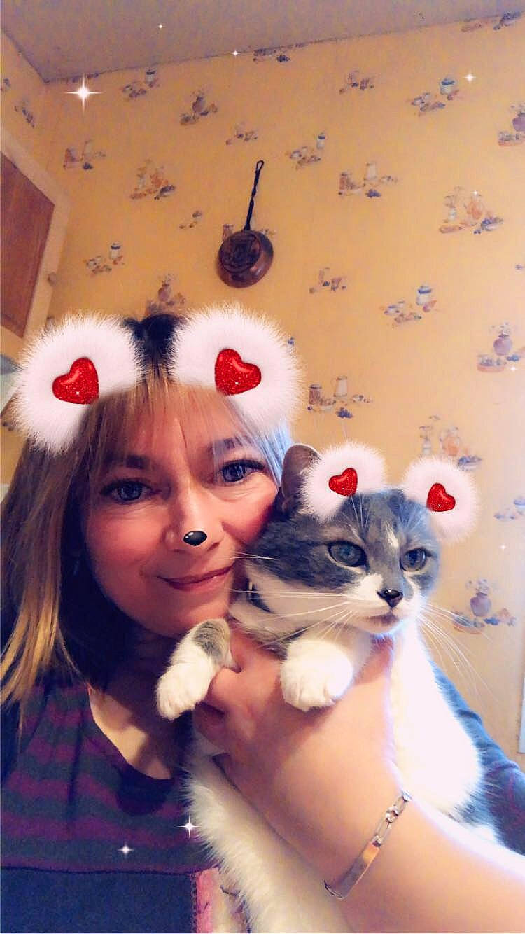 Hermione a rejoint le concours — aidez-le/la à gagner de superbes lots ! bangs, brown_hair, carnivore, cat, eyelash, fashion_accessory, fawn, felidae, fur, gesture, happy, headband, holiday, iris, long_hair, mammal, nail, small_to_medium_sized_cats, toy, whiskers