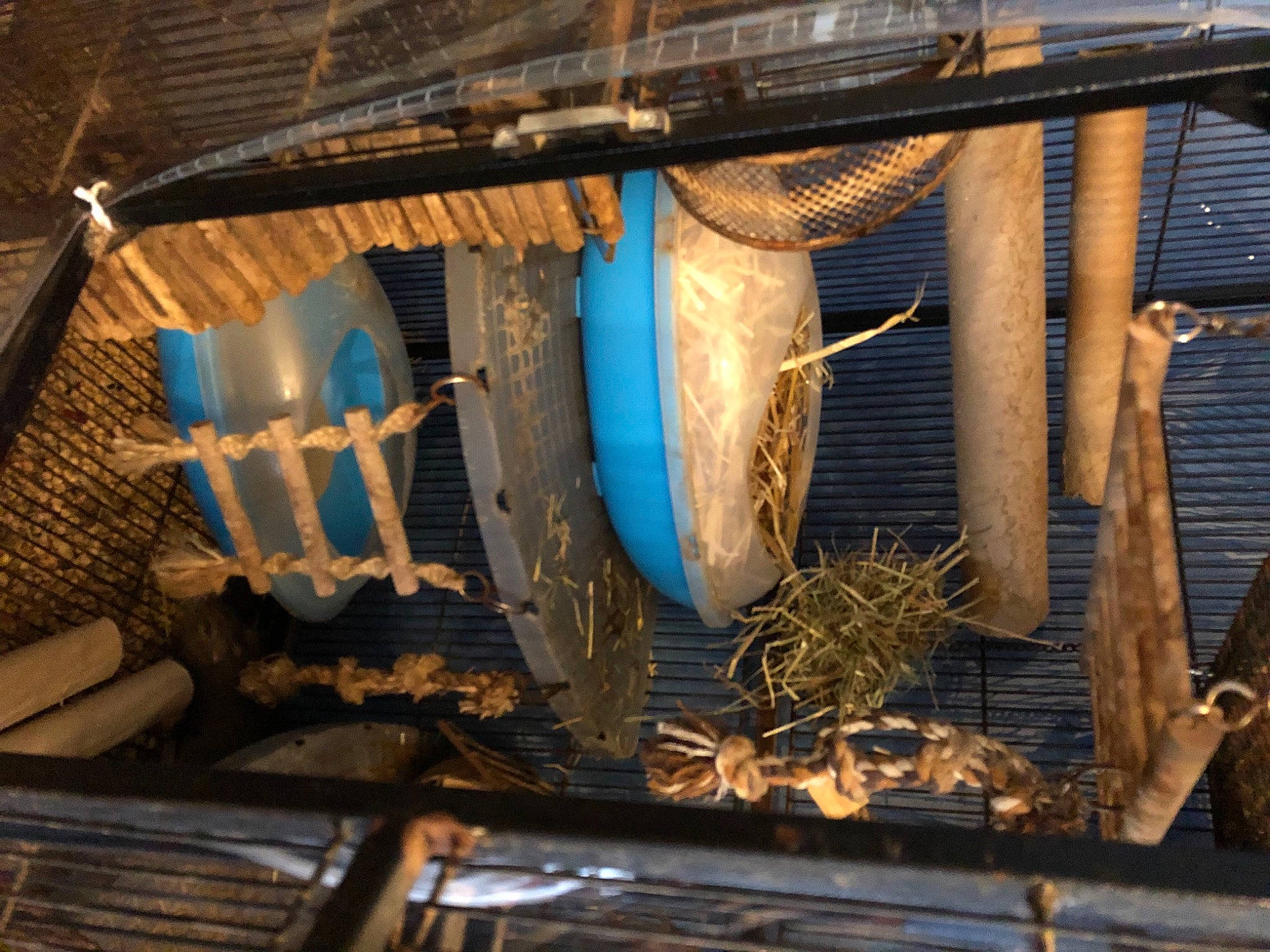 Octodons participe au concours pour gagner de l'argent avec cette photo : automotive_exterior, automotive_wheel_system, composite_material, gas, grille, hood, machine, metal, motor_vehicle, naval_architecture, radiator, rust, steel, wood