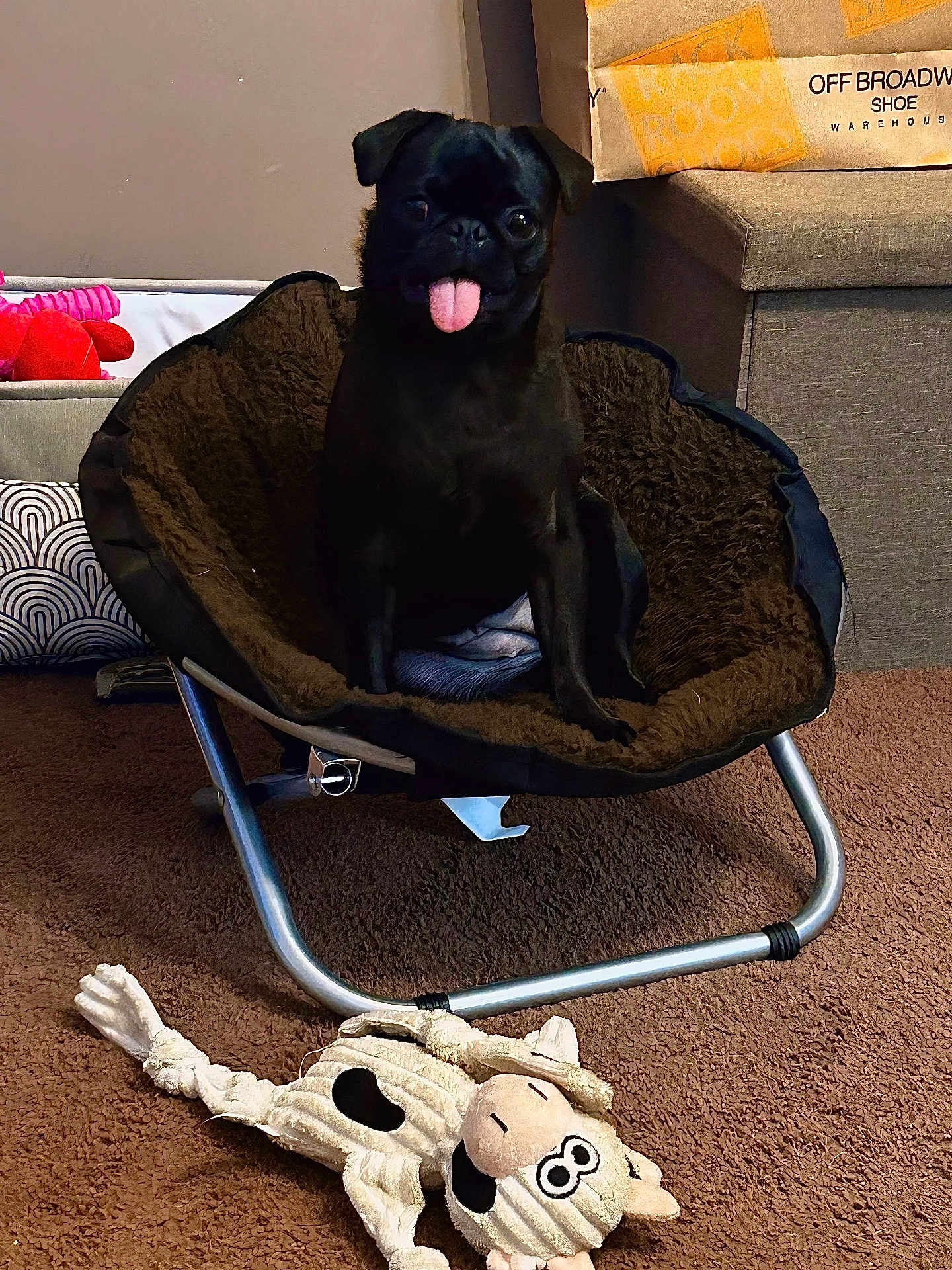 Gracie