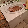Biscuit a rejoint le concours — aidez-le/la à gagner de superbes lots ! basin, bathroom, cat, countertop, curious, faucet, home, indoor, kitten, mirror, orange_cat, photography, plumbing, reflection, sink, sitting, soap_bottles, towels, vanity, wet