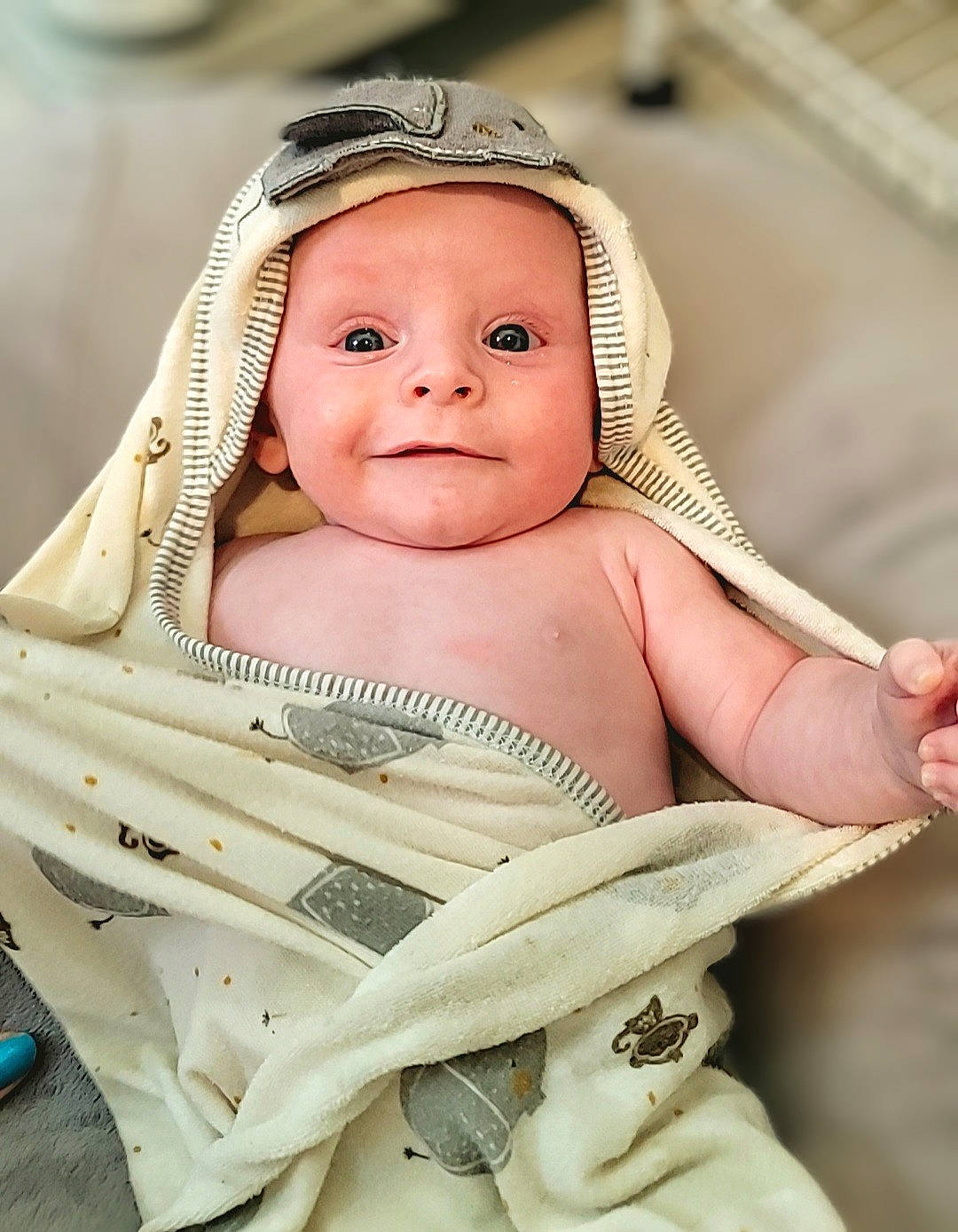 E.j. is registered to the contest to win money with this photo: baby, baby_products, baby_safety, baby_toddler_clothing, cheek, child, comfort, eye, eyebrow, eyelash, face, fashion_accessory, happy, head, headgear, headwear, infant_bed, linens, person, skin