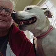 Lacey Jay is registered to the contest to win money with this photo: person, dog, glasses, collar, indoor, window, blinds, smile, face, pet, human, clothing, red_hoodie, white_dog, portrait, closeup, leash, light, wall, home