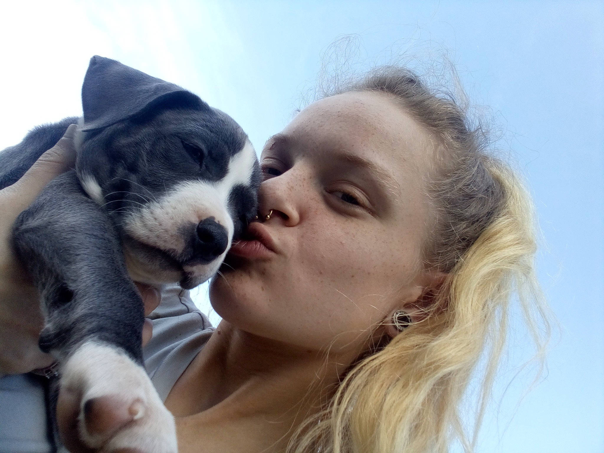 Remi joined the competition — help win amazing prizes! carnivore, companion_dog, dog, dog_breed, ear, fawn, fun, fur, gesture, happy, jaw, kiss, love, nose, people_in_nature, romance, selfie, sky, toy_dog, whiskers