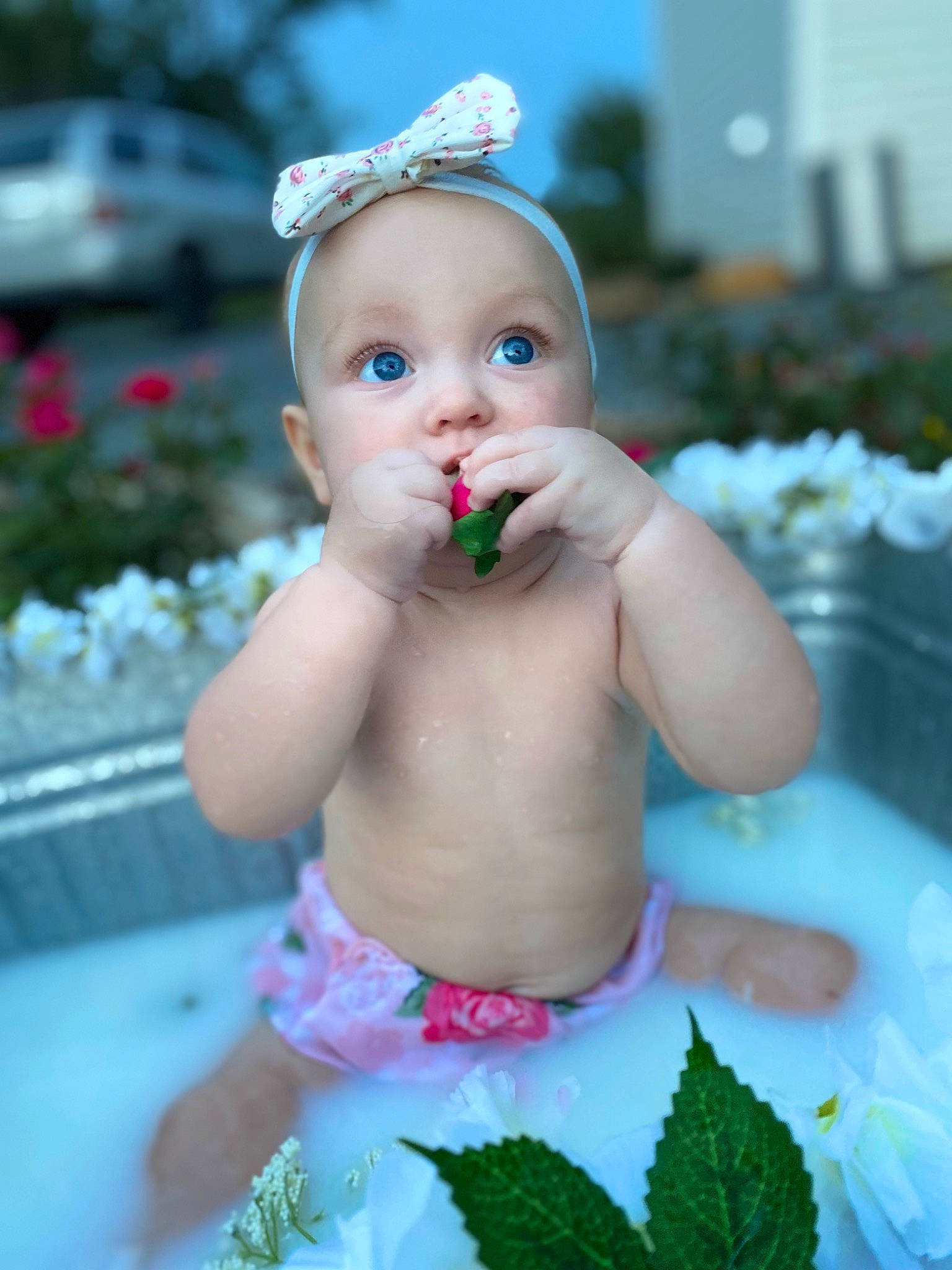 Nevaeh joined the competition — help win amazing prizes! abdomen, baby, baby_toddler_clothing, chest, event, fun, grass, hand, happy, headband, headgear, headpiece, jewellery, leisure, person, petal, pink, plant, skin, toddler