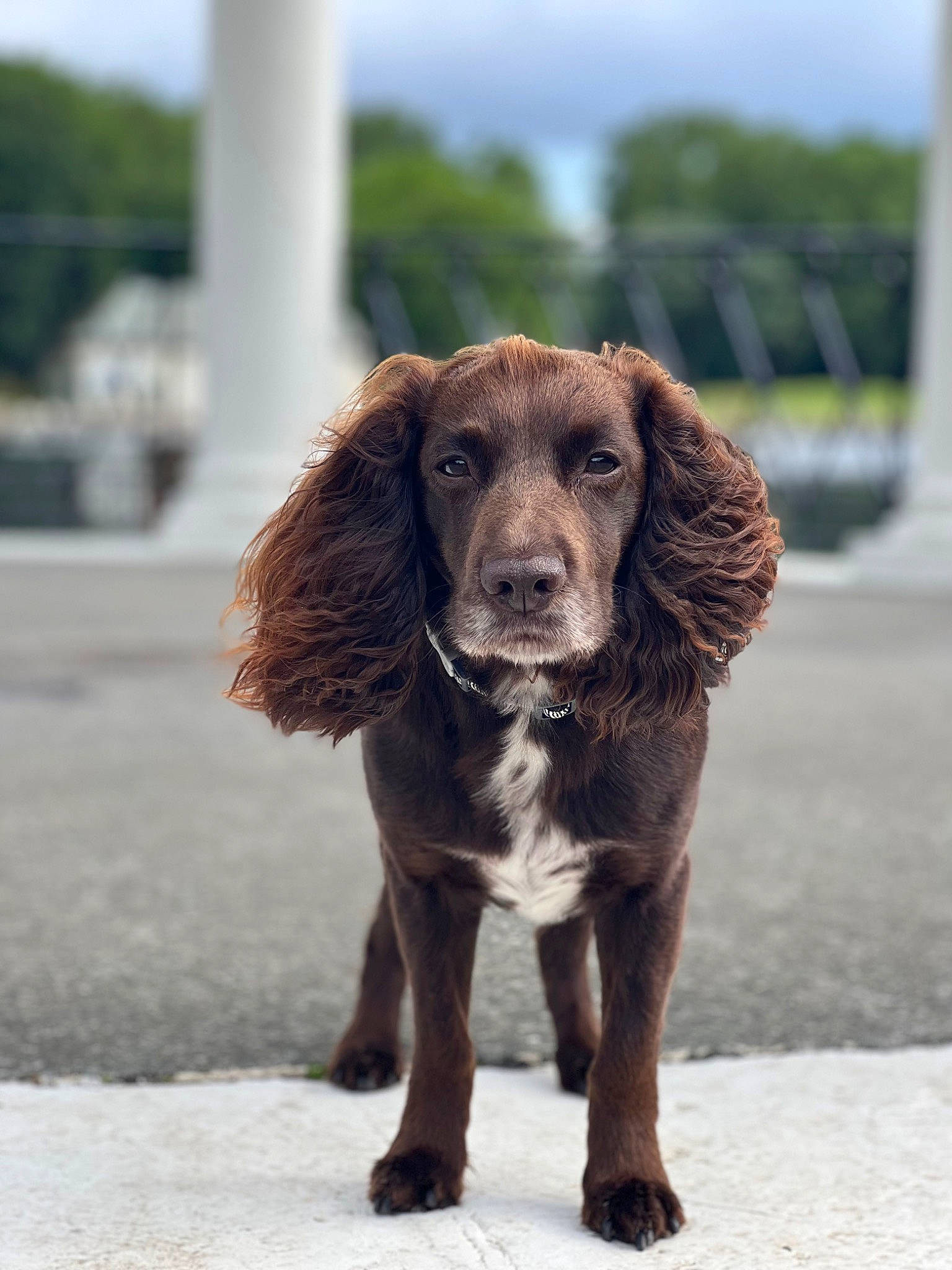 Harvey Spector Edgar