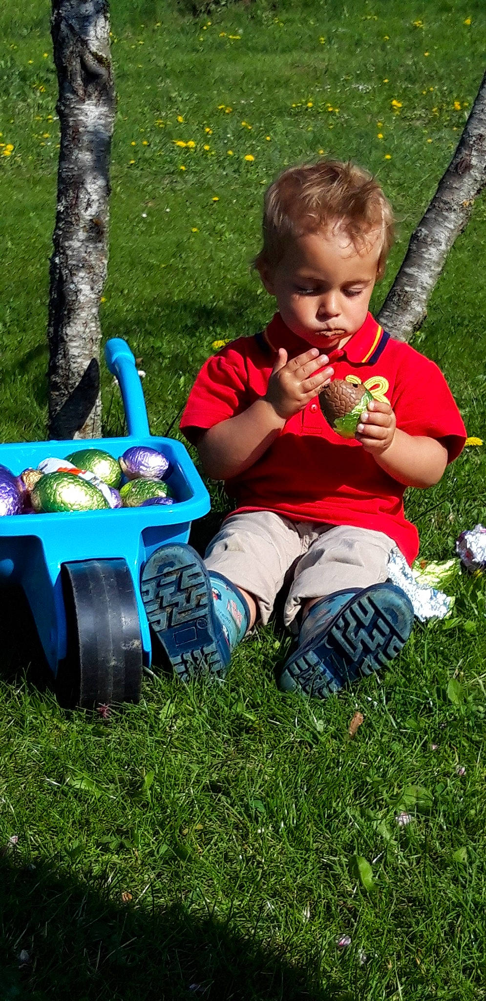 Ethann participe au concours pour gagner de l'argent avec cette photo : child, fun, garden, grass, happy, lawn, person, plant, play, sitting, toddler, tree