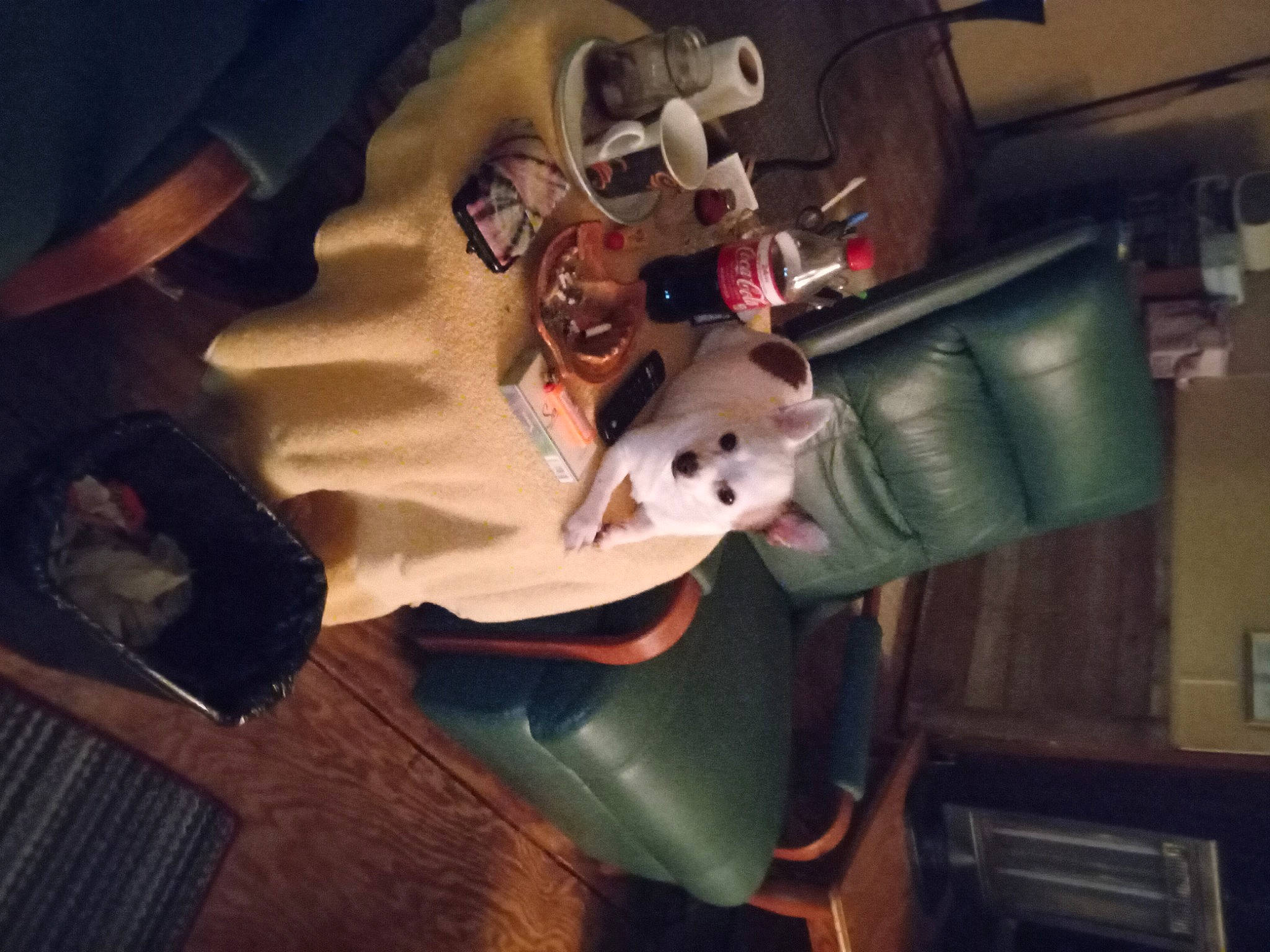 Tux Lovings is registered to the contest to win money with this photo: animation, carmine, costume, eyewear, fictional_character, flesh, fun, helmet, machine, personal_protective_equipment, room, stuffed_toy, teddy_bear, toy