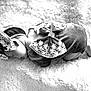 baby, infant, sleeping, headband, lace, black_and_white, soft_texture, blanket, cute, peaceful, newborn, portrait, clothing, closeup, resting, toddler, child, adorable, soft_light, indoor