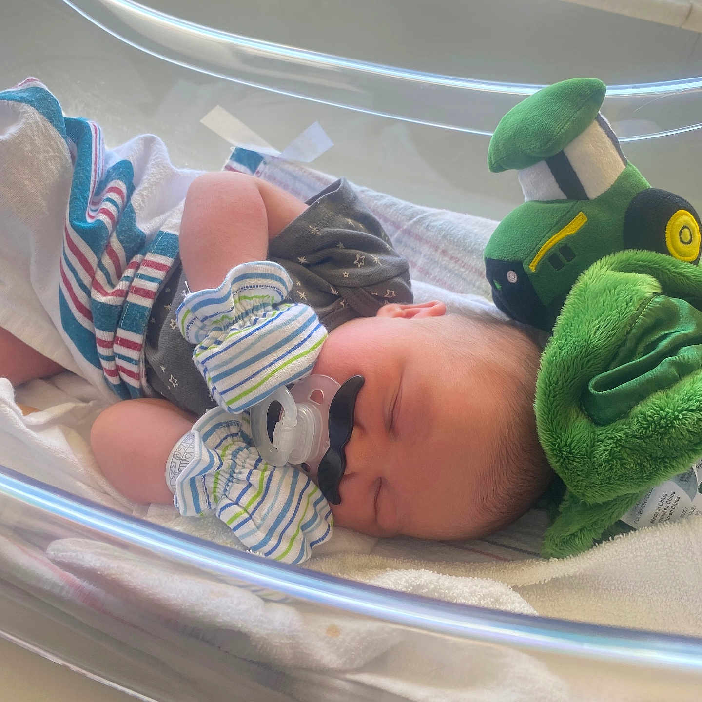 Riker is registered to the contest to win money with this photo: baby, bassinet, blanket, child, cute, green, hospital, infant, light, mittens, mustache, newborn, pacifier, peaceful, plush, resting, sleeping, soft, toy, window