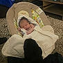 Riker is registered to the contest to win money with this photo: newborn, baby, blanket, baby_seat, dog, black_dog, carpet, living_room, furniture, cushion, sleeping, peaceful, indoor, pet, animal, cute, resting, cozy, child, infant