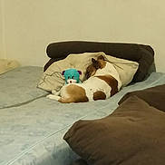 Laicko participe au concours pour gagner de l'argent avec cette photo : bed, chair, comfort, couch, floor, flooring, furniture, table