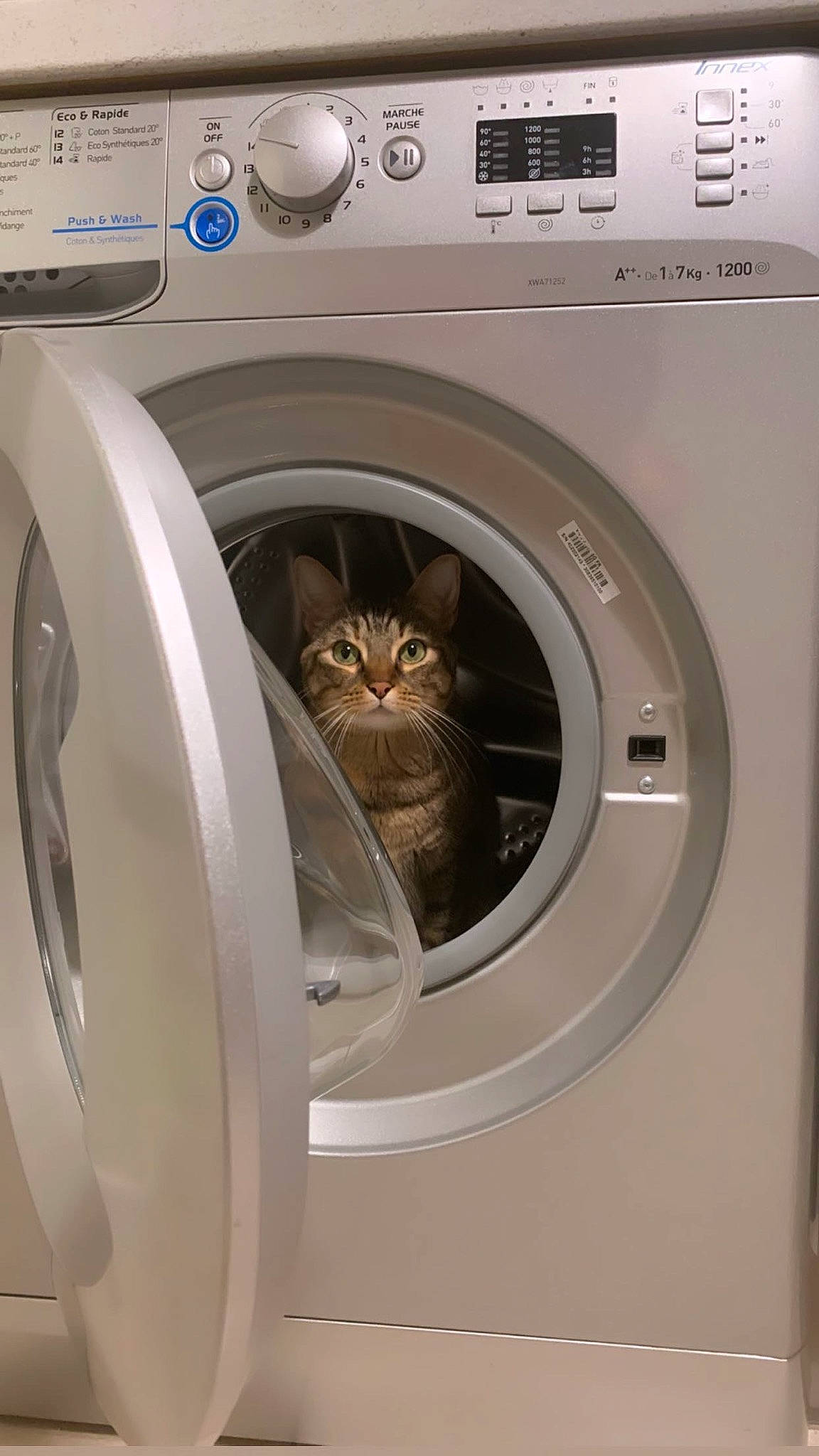 Naïa a rejoint le concours — aidez-le/la à gagner de superbes lots ! cat, circle, clothes_dryer, felidae, gas, home_appliance, laundry, laundry_room, laundry_supply, line, machine, major_appliance, product, rim, small_to_medium_sized_cats, technology, terrestrial_animal, washing_machine, whiskers, white