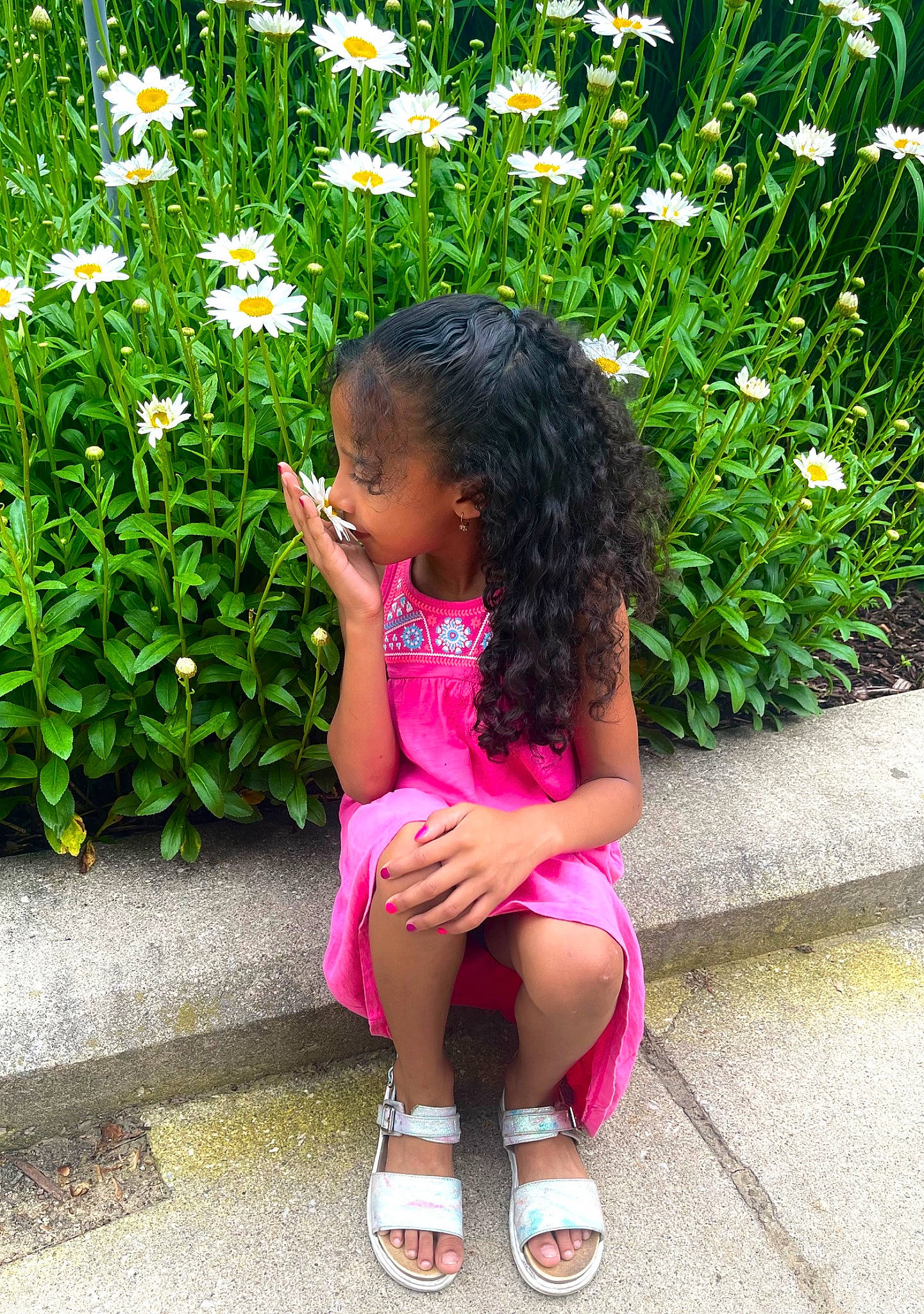 Emma joined the competition — help win amazing prizes! annual_plant, botany, flower, garden, grass, groundcover, happy, human_leg, leisure, magenta, people_in_nature, person, petal, plant, shrub, sleeve, summer, terrestrial_plant, thigh, toddler