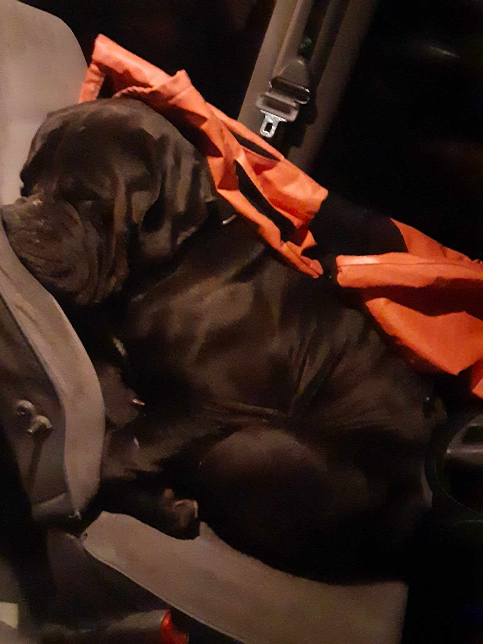 Bugaboo