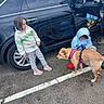 car, casual, child, children, curiosity, daytime, dog, harness, hoodie, interaction, jacket, leash, outdoor, parking_lot, pavement, road_marking, sneakers, tire, vehicle, water_bowl