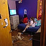bed, blanket, ceiling_fan, child, clothing, cup, curtain, dog, door, drawer, furniture, indoor, purple_wall, relaxed, room, sitting, television, toy, watching_tv, wooden_floor