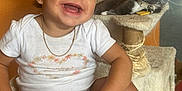 Kataleia is registered to the contest to win money with this photo: toddler, child, smiling, cat, pet, indoor, furniture, cat_tree, white_clothing, necklace, orange_wall, happy, playful, young_child, cute, domestic_animal, sitting, face, earrings, home