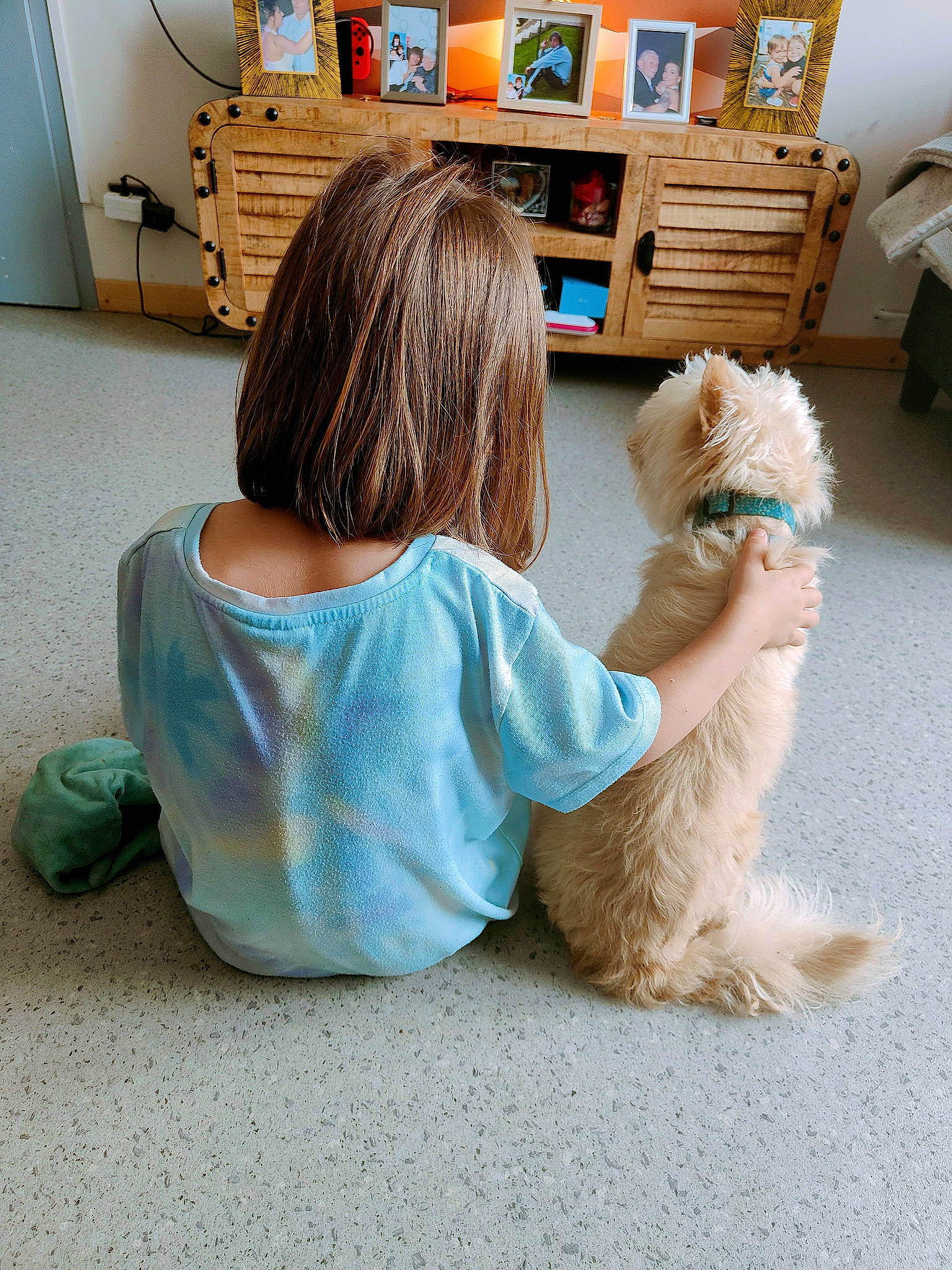 Juliette participe au concours pour gagner de l'argent avec cette photo : bookcase, carpet, child, companion_dog, felidae, floor, flooring, fur, human_leg, leisure, person, reading, room, shelf, shelving, sitting, tail, terrier, toddler, toy_dog