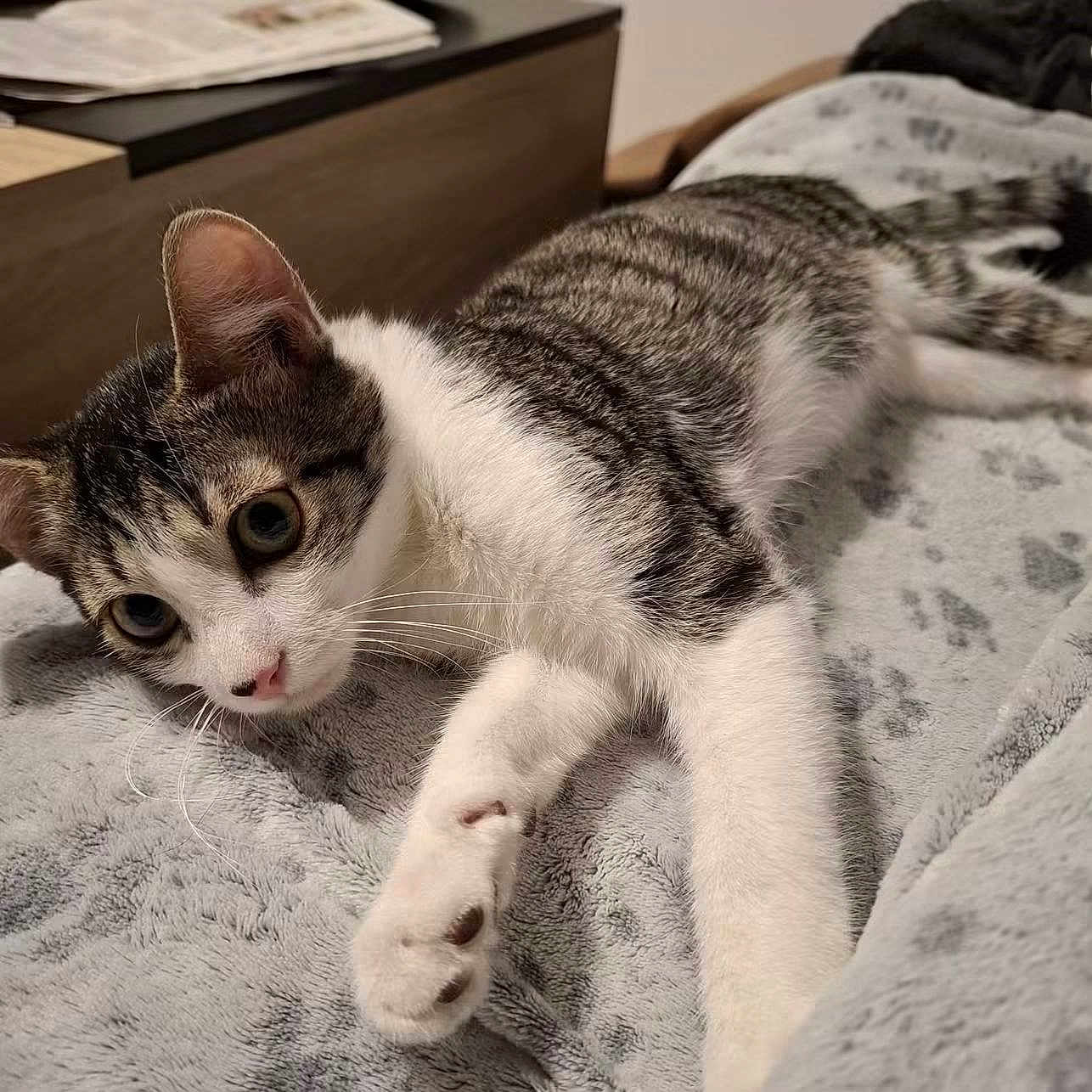 Olive