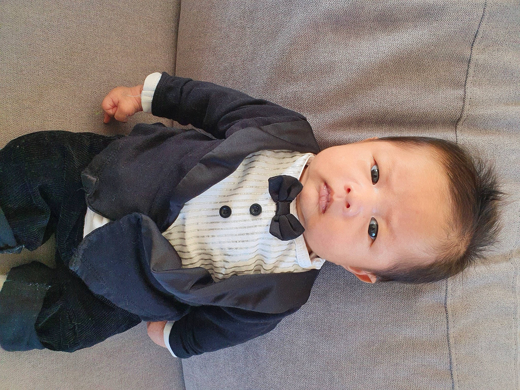 Westyn participe au concours pour gagner de l'argent avec cette photo : baby, baby_products, baby_toddler_clothing, child, collar, comfort, fur, mammal, outerwear, pattern, person, sitting, skin, sleeve, textile, toddler, wood