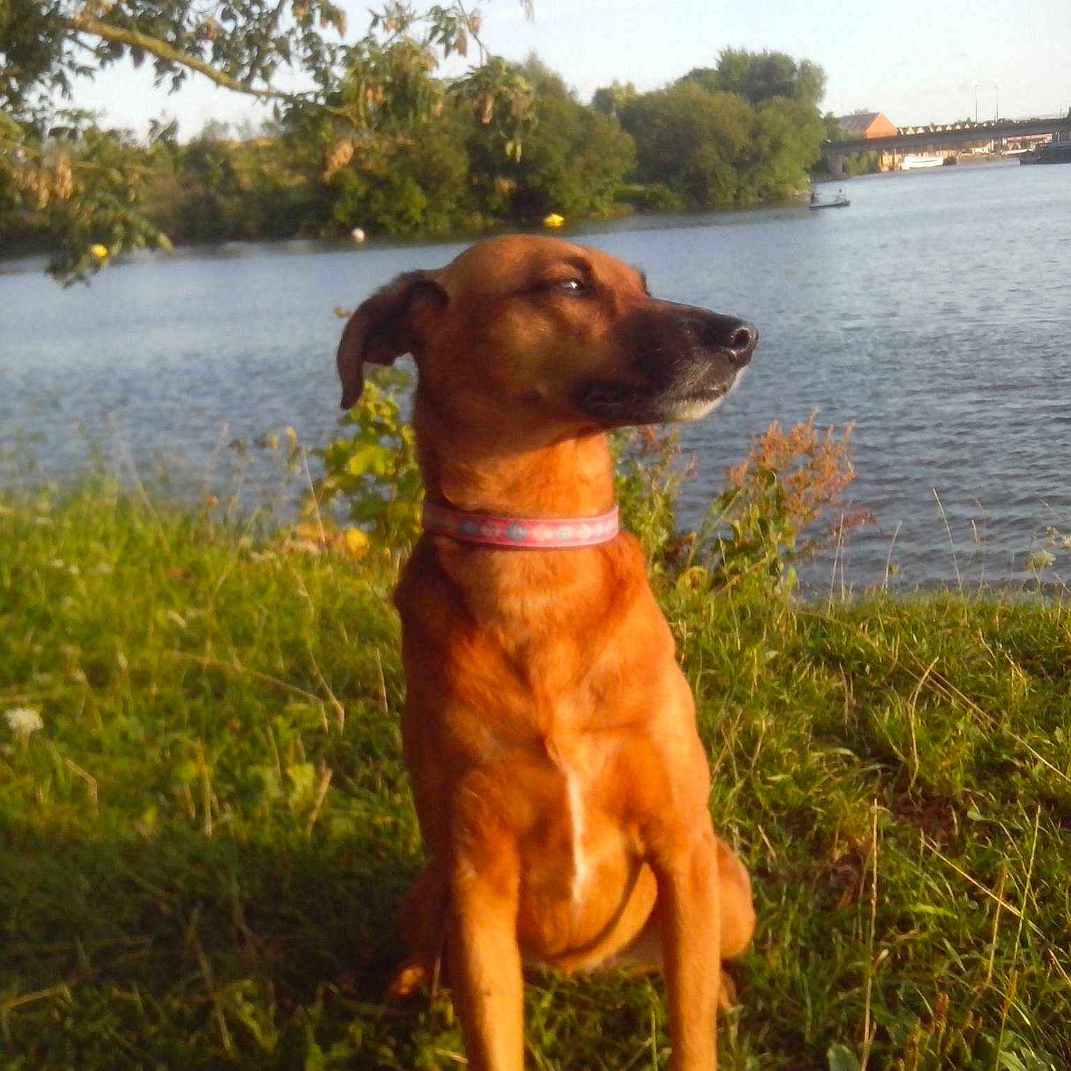 Roxanne
