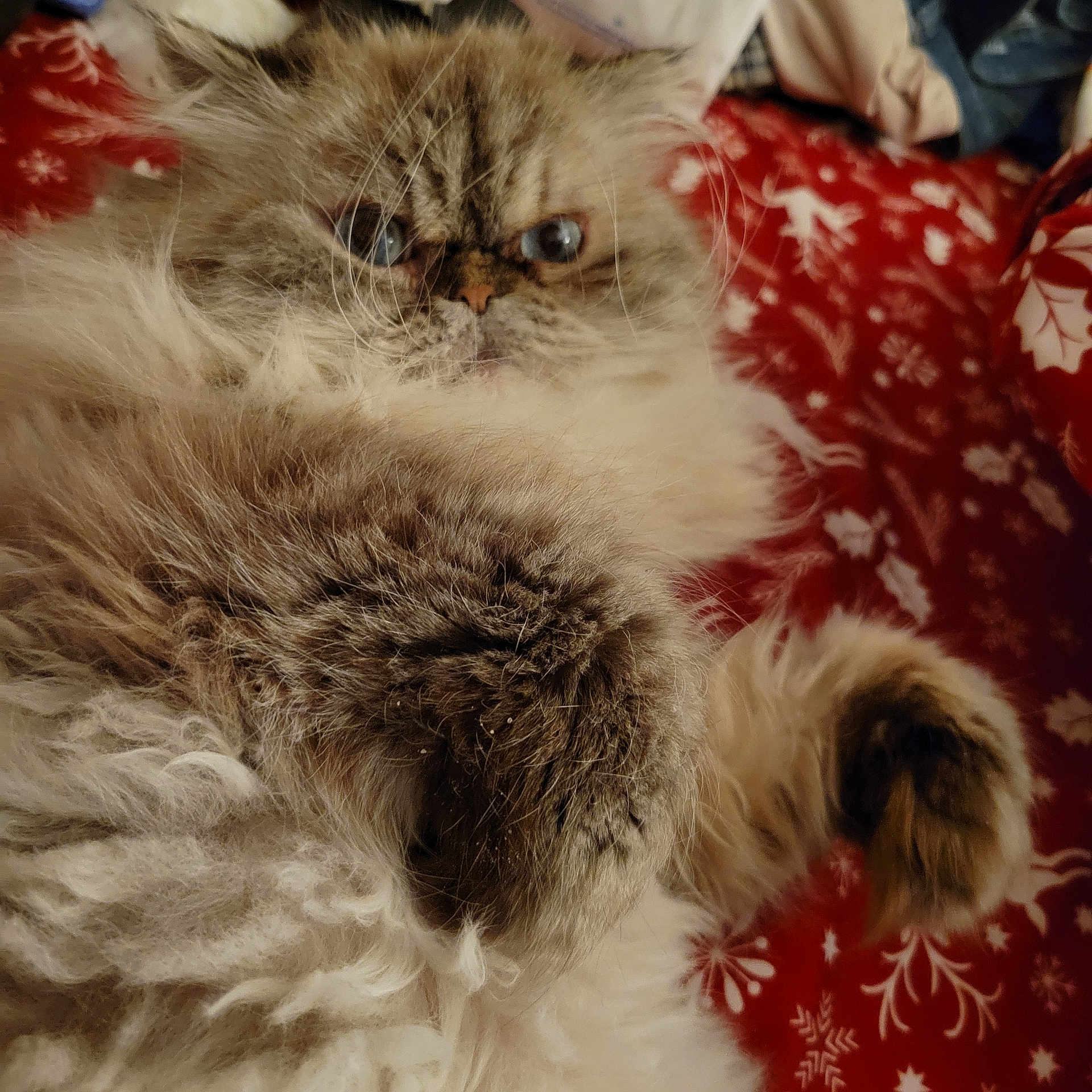 Matilda