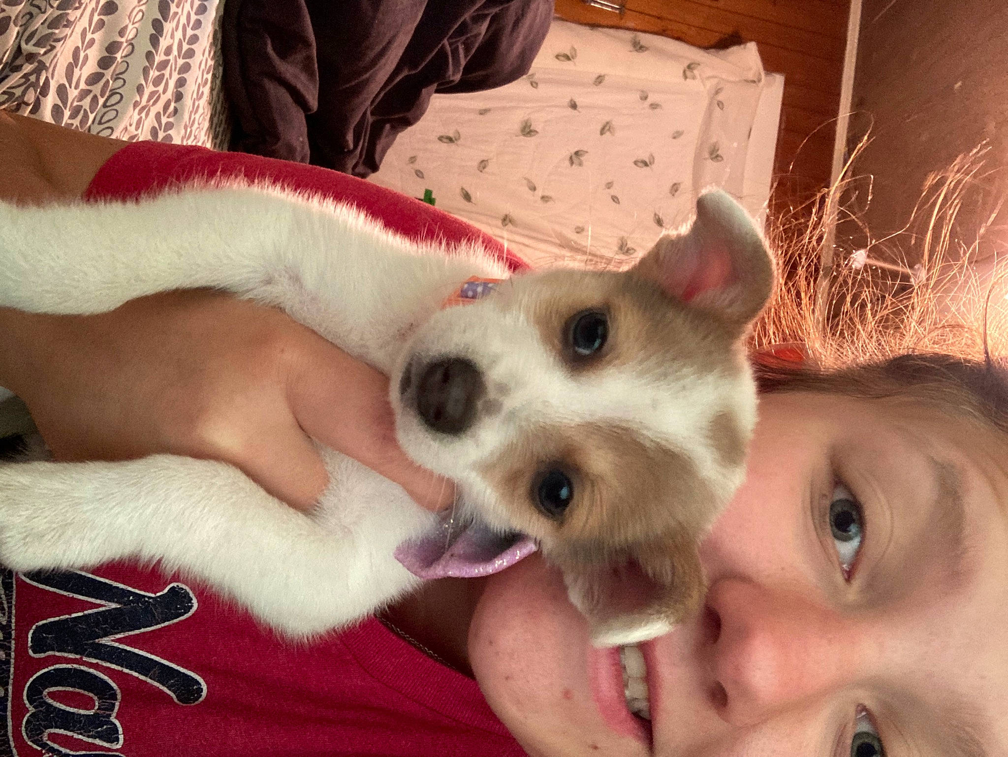 Alaina is registered to the contest to win money with this photo: canidae, carnivore, companion_dog, dog, dog_breed, ear, eyelash, fawn, fur, gesture, happy, jaw, paw, puppy_love, selfie, smile, snout, sporting_group, whiskers, working_animal