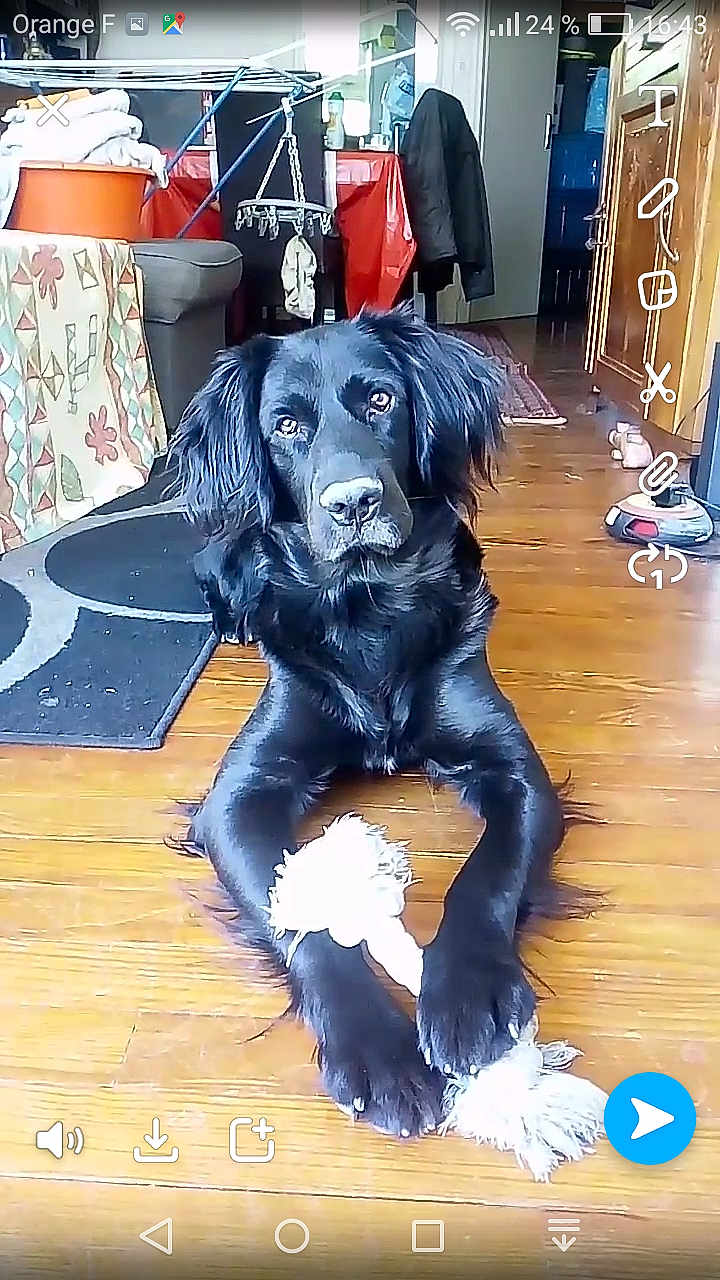 Bandit