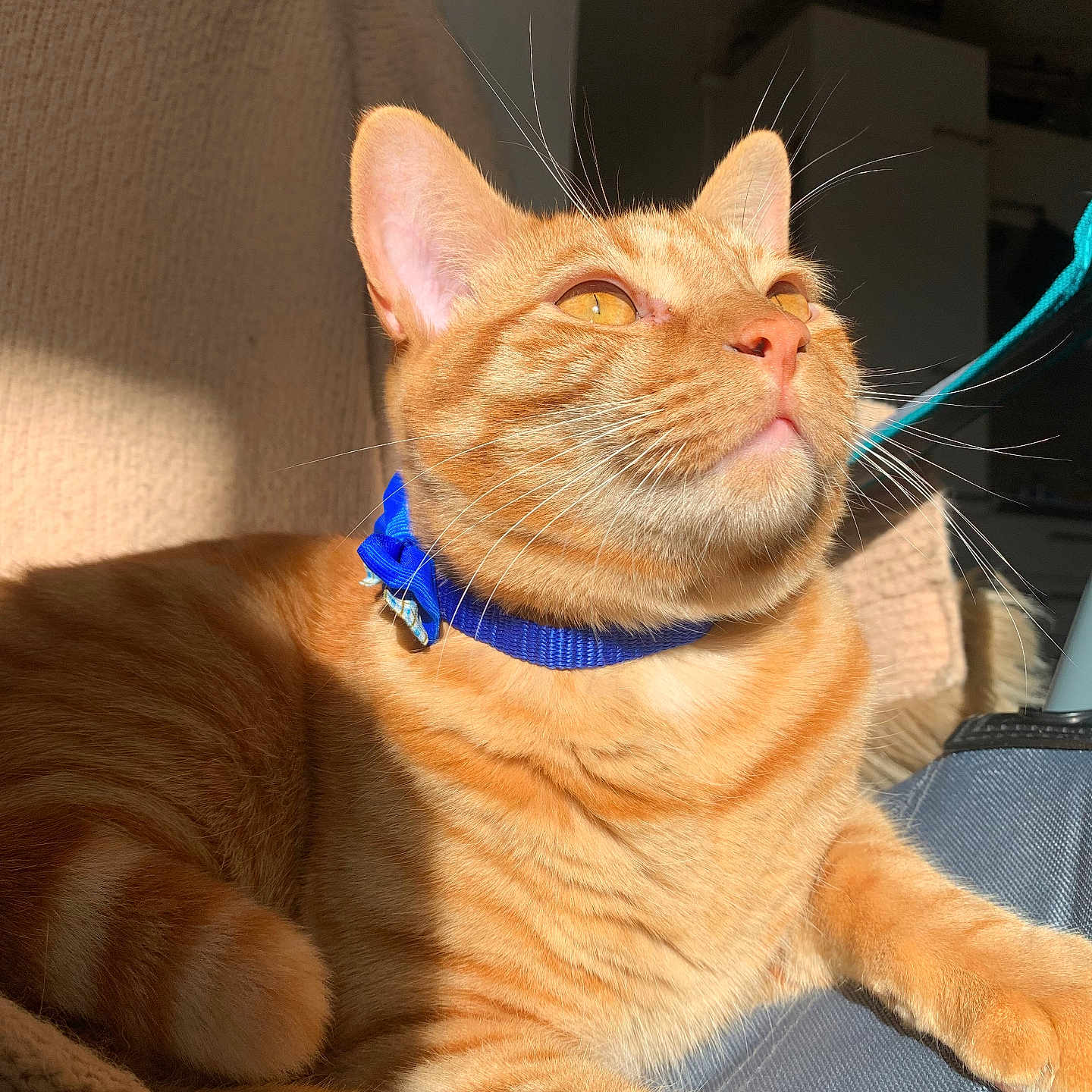 Ciro