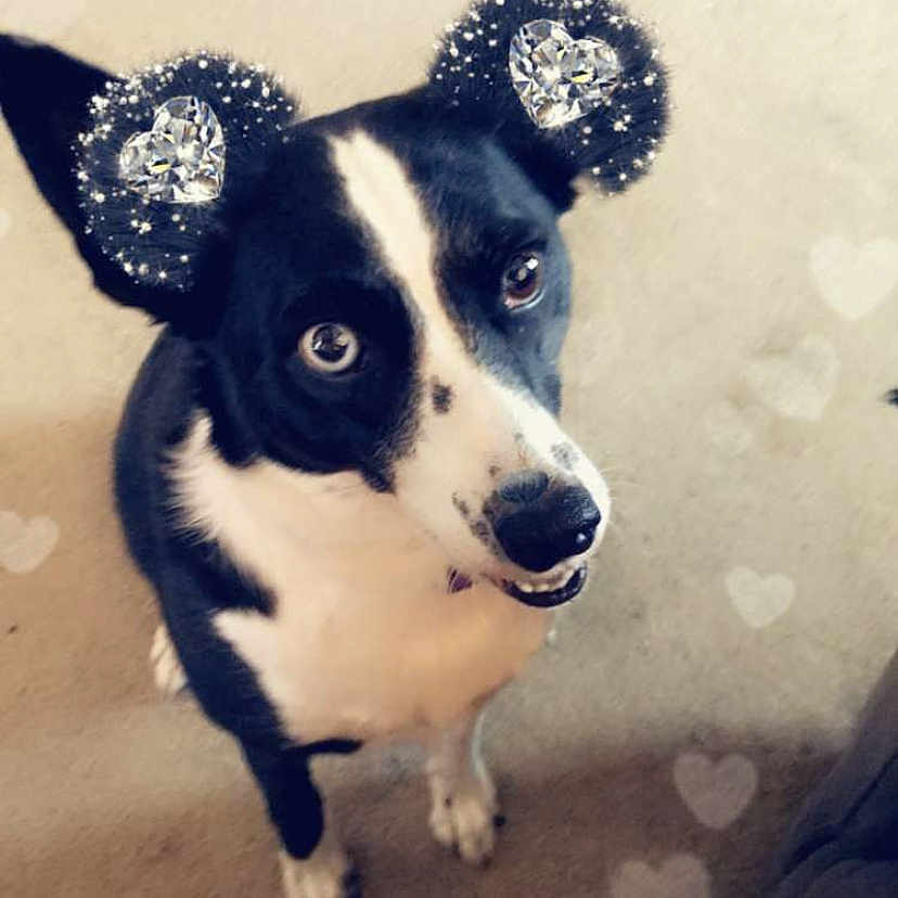 Tinkerbell
