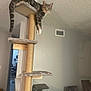 cat, tabby_cat, cat_tree, indoor, furniture, living_room, curious, pet, animal, dangled_paws, platform, vertical_structure, wall, vent, chair, doorway, floor, cozy, home, domestic