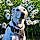 Charlie