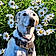 Charlie