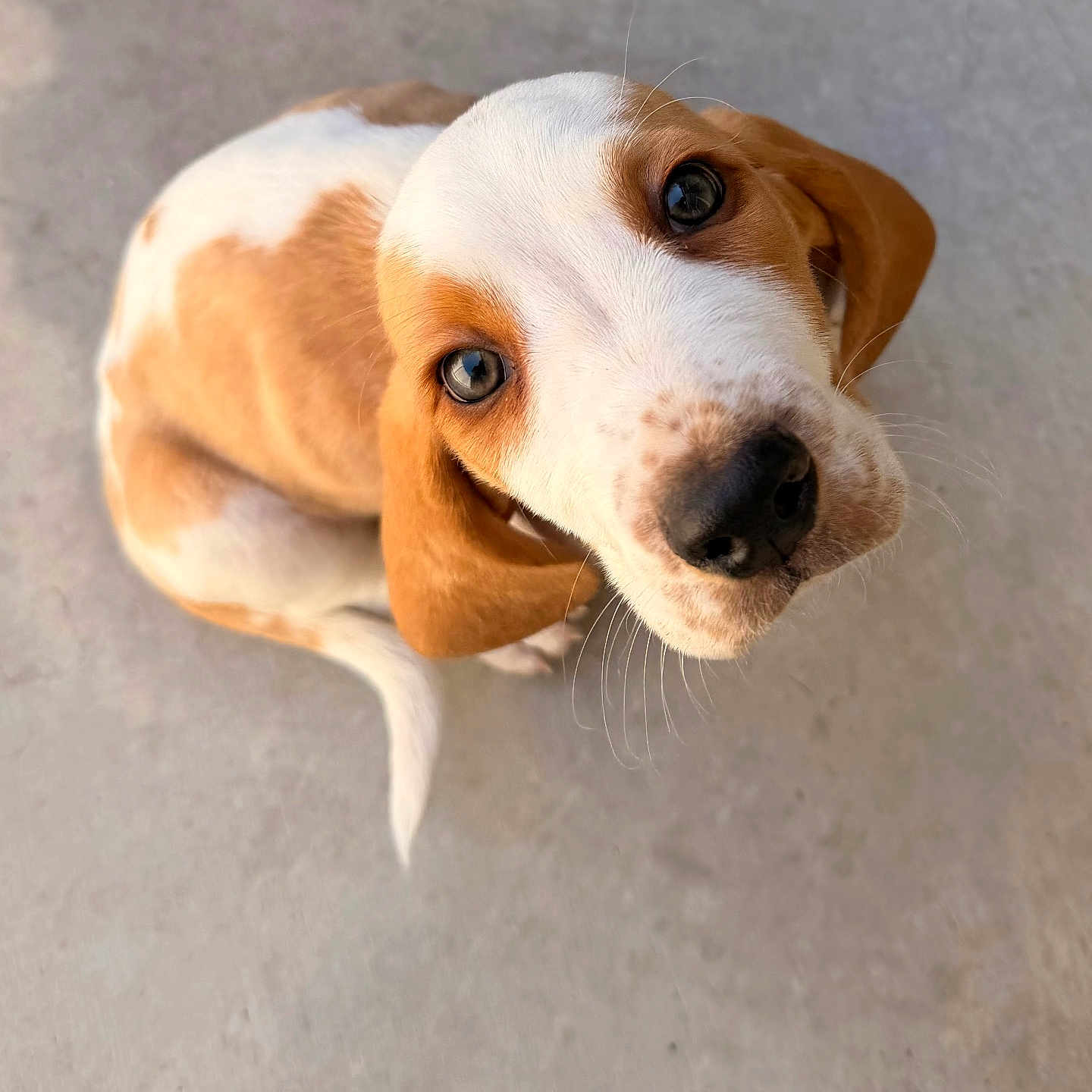 Booker