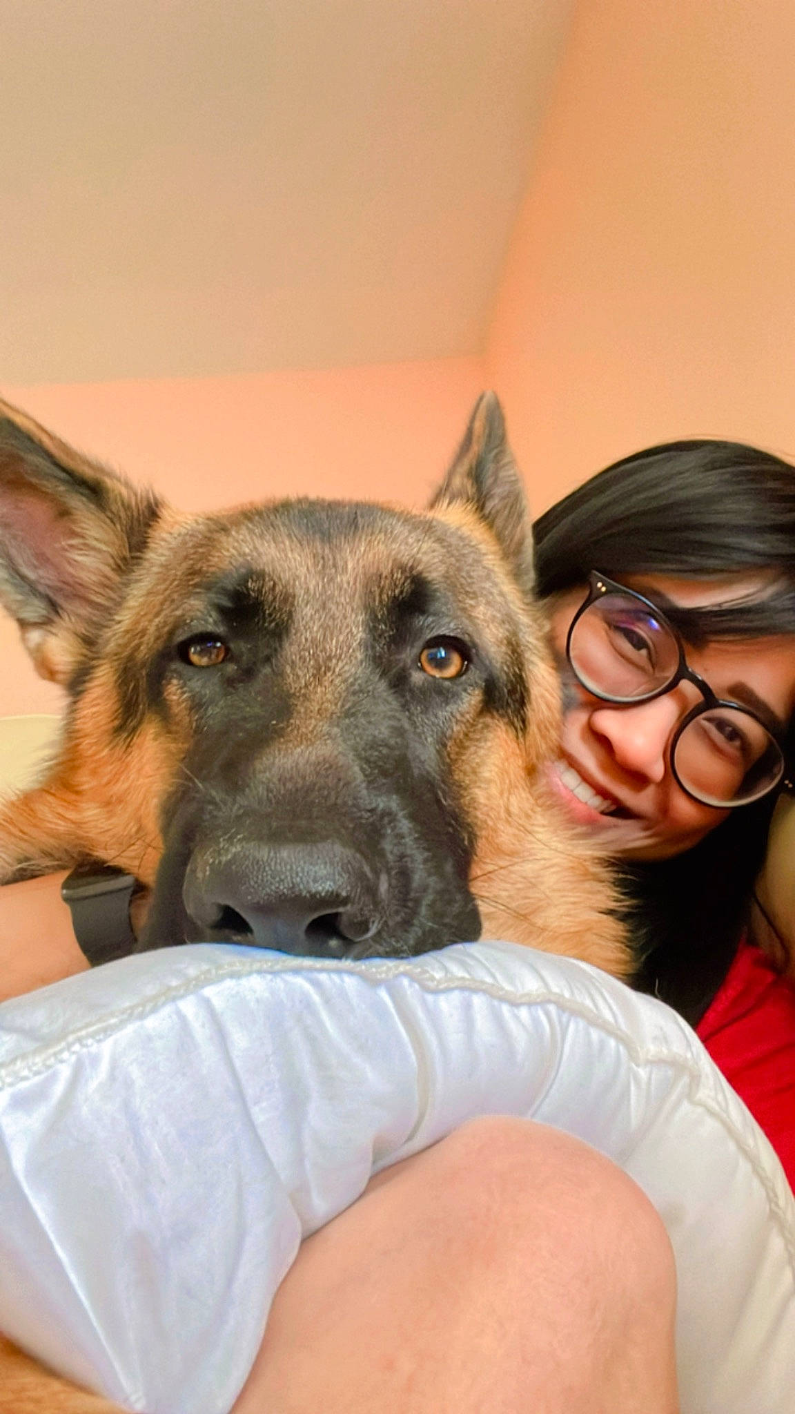 Xenon is registered to the contest to win money with this photo: canidae, carnivore, companion_dog, dog, dog_breed, ear, eyewear, fawn, fun, german_shepherd_dog, gesture, glasses, happy, herding_dog, smile, snout, sporting_group, vision_care, whiskers, working_animal