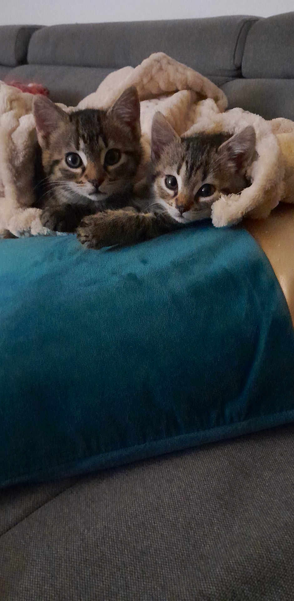 June Et Simba