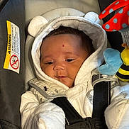 Everly joined the competition — help win amazing prizes! baby, infant, car_seat, white_clothing, hooded_jacket, plush_toy, bee_toy, straps, safety_harness, cute, child, indoors, soft_texture, warm_clothing, face, small_hands, headwear, seated, newborn, expression