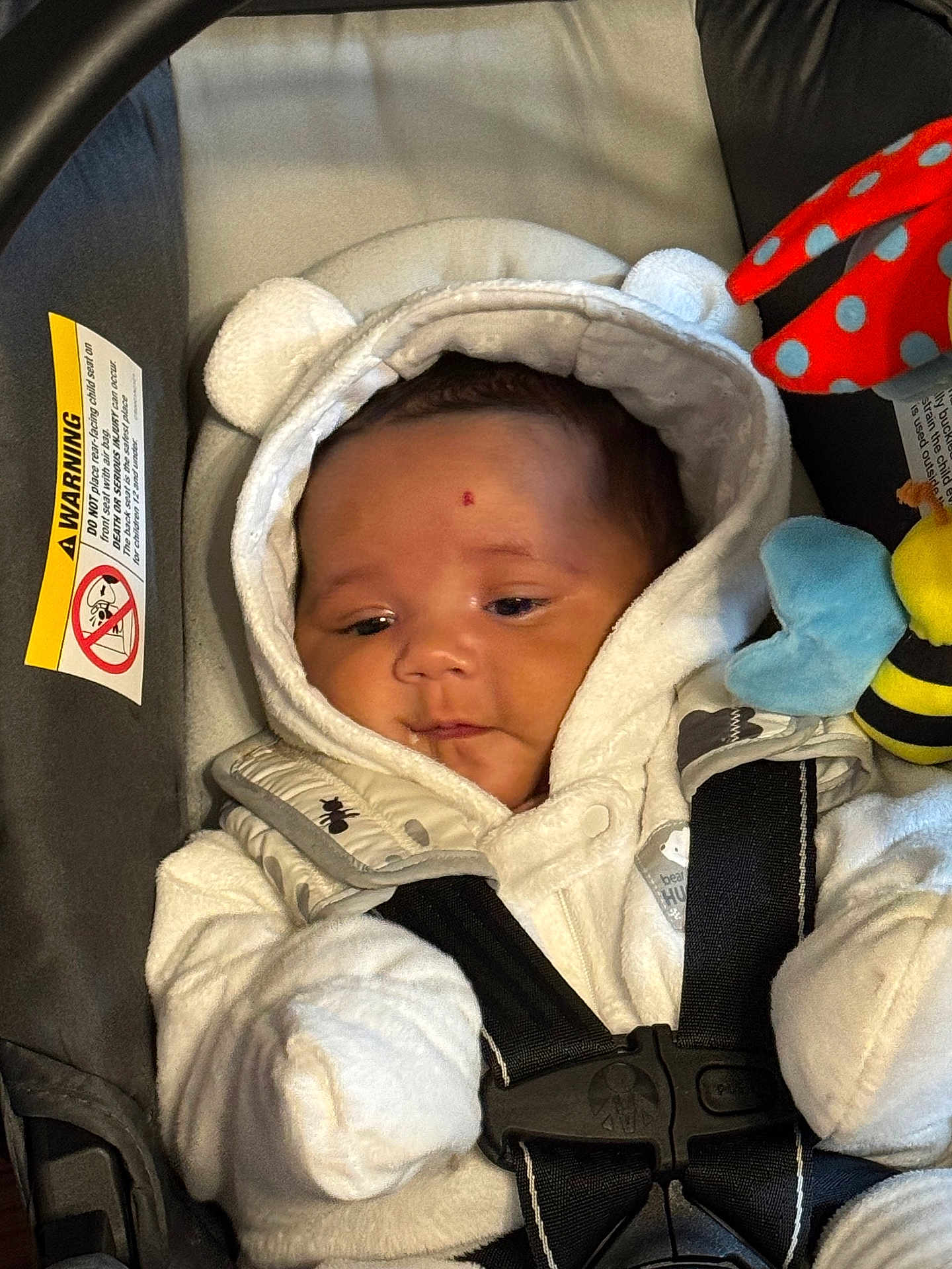 Everly joined the competition — help win amazing prizes! baby, infant, car_seat, white_clothing, hooded_jacket, plush_toy, bee_toy, straps, safety_harness, cute, child, indoors, soft_texture, warm_clothing, face, small_hands, headwear, seated, newborn, expression