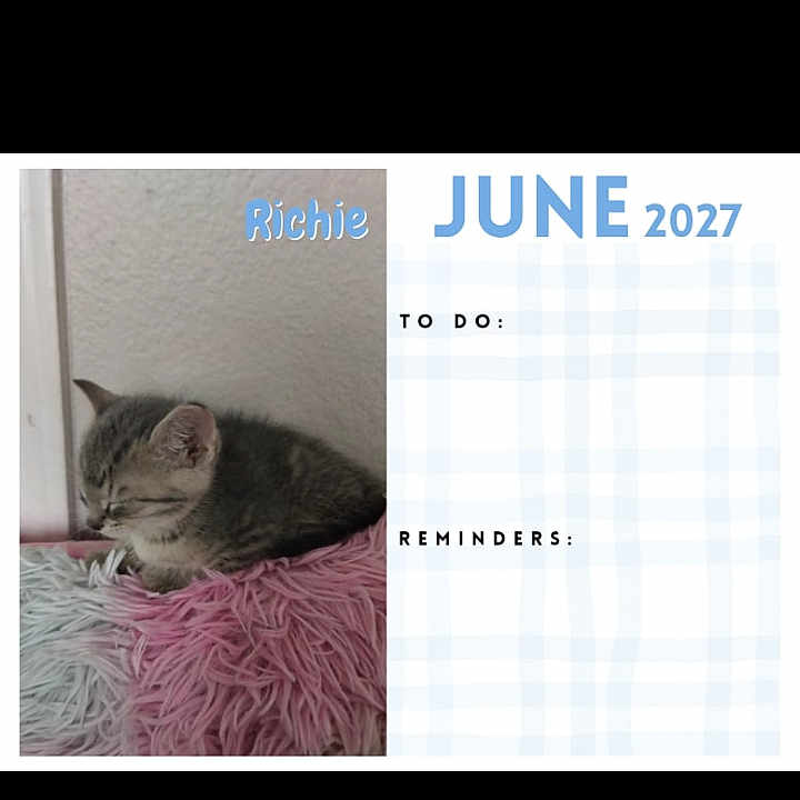Richie