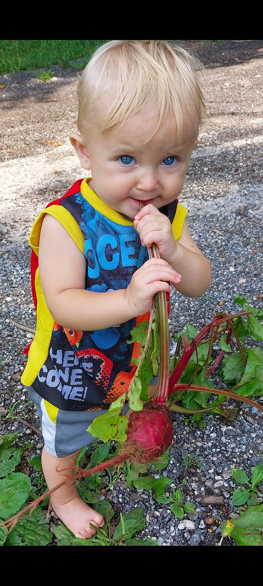 Jack is registered to the contest to win money with this photo: baby, baby_toddler_clothing, child, eye, flower, flowering_plant, grass, green, happy, leaf, natural_foods, people_in_nature, person, photograph, plant, shorts, smile, soil, t_shirt, terrestrial_plant