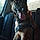 Tayson