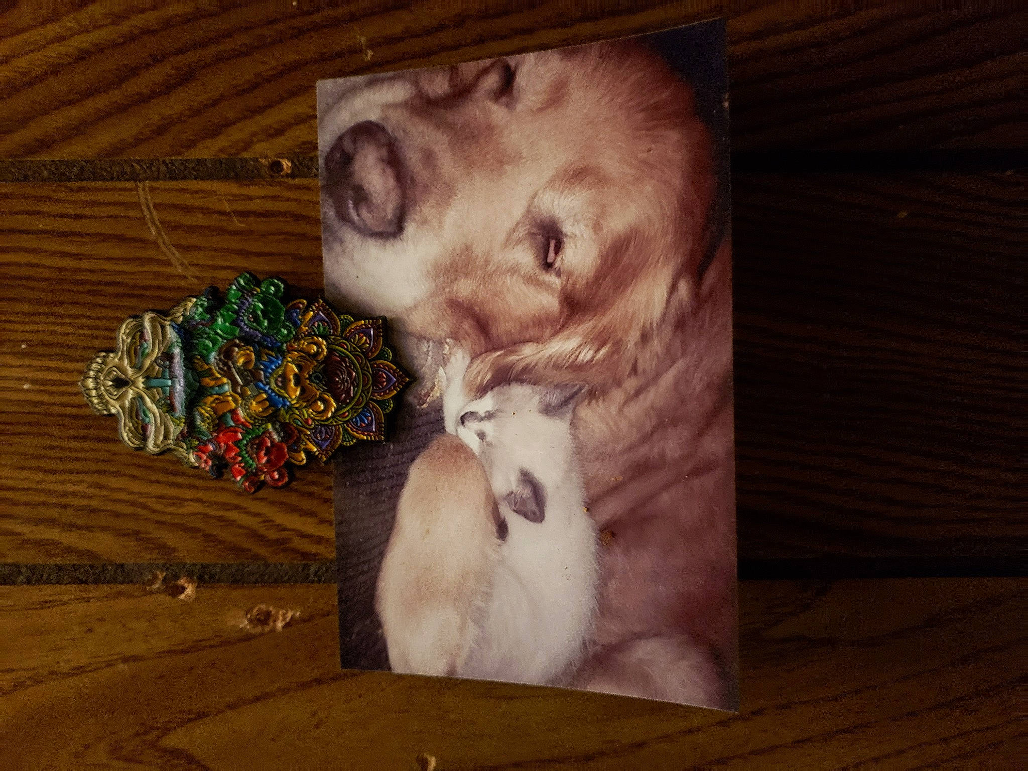 Opal joined the competition — help win amazing prizes! art, beard, canidae, companion_dog, darkness, facial_hair, fawn, felidae, flesh, flooring, fur, hardwood, moustache, painting, paw, room, small_to_medium_sized_cats, visual_arts, whiskers, wood