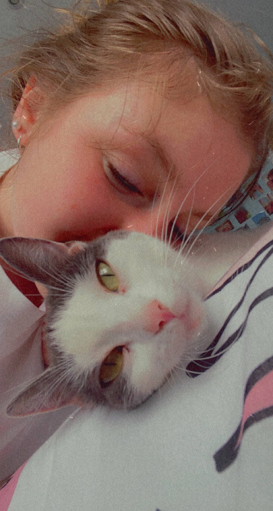 Rebelle participe au concours pour gagner de l'argent avec cette photo : beard, carnivore, cat, claw, close_up, comfort, domestic_short_haired_cat, ear, eyelash, felidae, fur, happy, nose, paw, small_to_medium_sized_cats, snout, tail, whiskers