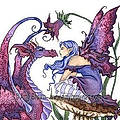 Camilla C.