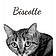 Biscotte